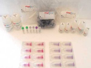 Qiagen 762164 PAXgene miRNA Kit Stabilization/Collection/Purification 50 New