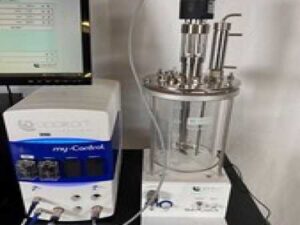 Applikon 2019 my-Control 2 L Small Scale Bioreactor, Cell Culture w/ Computer