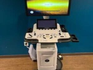 GE Vivid T9 DOM 2021