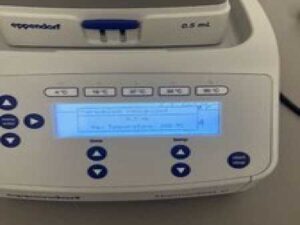 NICE Eppendorf ThermoStat C 5383 With SmatBlock