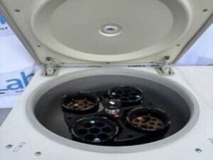 Thermo Sorvall Legend RT Centrifuge