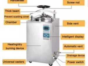 75L Vertical Pressure Steam Autoclave Sterilizer Machine Sterilizat 33psi 220V