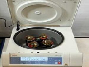 Thermo Scientific Megafuge 8R Centrifuge 8R -75007213